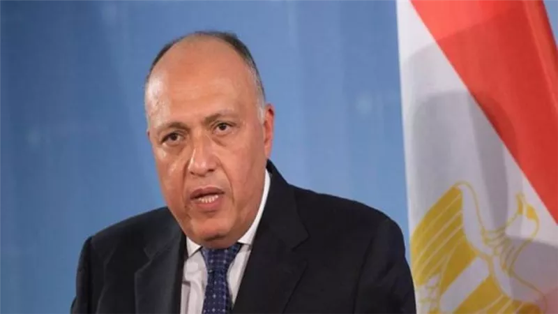 ممثلا عن الرئيس السيسي.. وزير الخارجية يشارك في عشاء عمل استضافه ماكرون بنيويورك