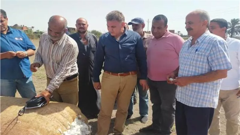 الزراعة: حملات لمكافحة العفن الهبابي في مزارع المانجو بالاسماعيلية  
