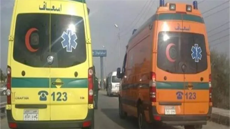أمن الجيزة يتحفظ على لاعب شهير صدم شخص على طريق الإسكندرية الصحراوي 
