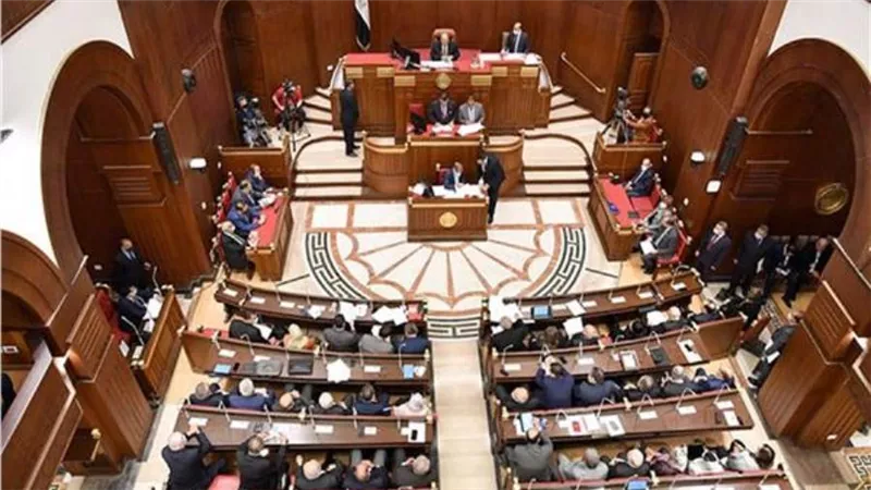 تضامن الشيوخ: الحوار الوطني مهم لتعزيز الاستثمار في بناء قدرات الشباب 