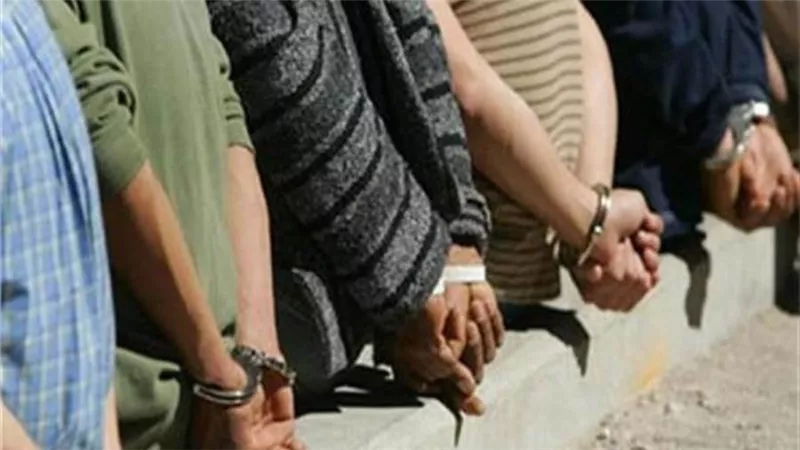 حبس تشكيل عصابي بحوزته أسلحة نارية وحشيش بقليوب 