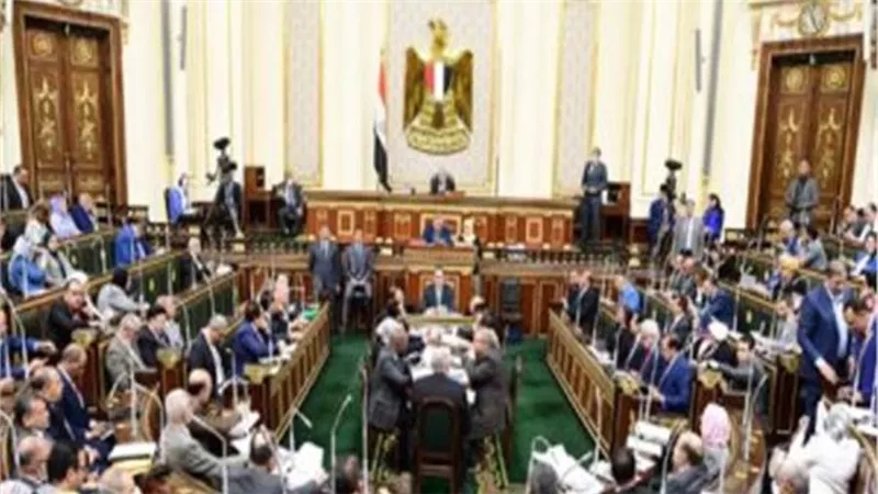 زراعة النواب تكشف تفاصيل حل أزمة الدواجن بالتنسيق مع مجلس الوزراء 