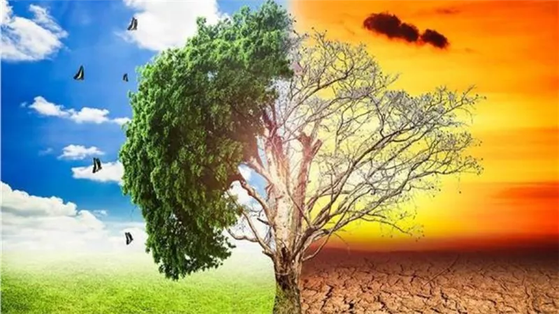 «البيئة»: نصف الكائنات الحية على وجه الأرض تأثرت بالتغيرات المناخية 