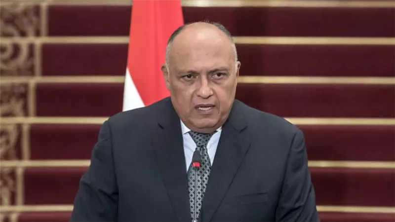 شكري: مصر تطلق مبادرة الحياة الكريمة في إفريقيا خلال مؤتمر المناخ 