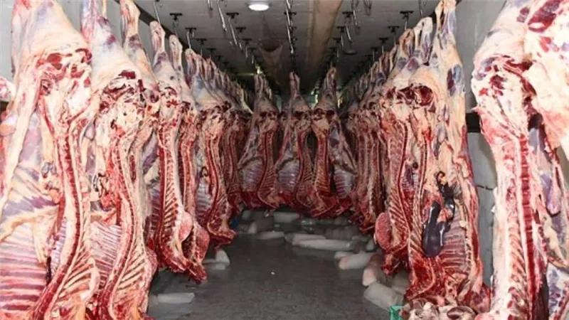 الأوقاف: توزيع 600 طن لحوم على الأولى بالرعاية طبقا لتوجيهات الرئيس