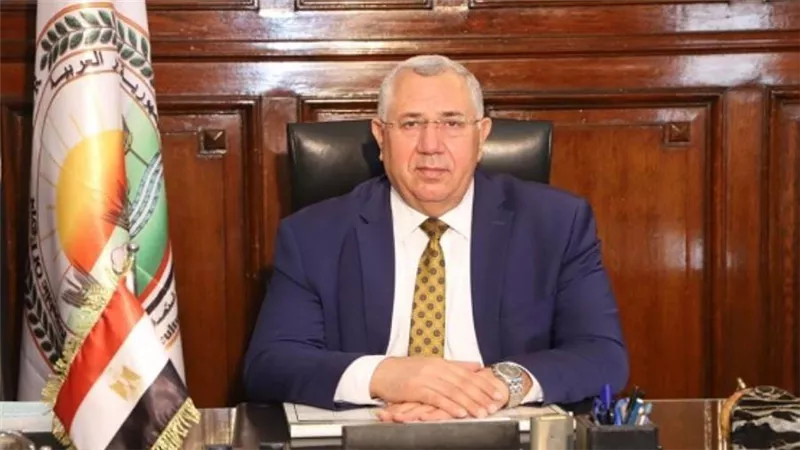 تتصدرها الموالح والبطاطس.. صادرات مصر الزراعية تتجاوز 5.2 مليون طن هذا العام