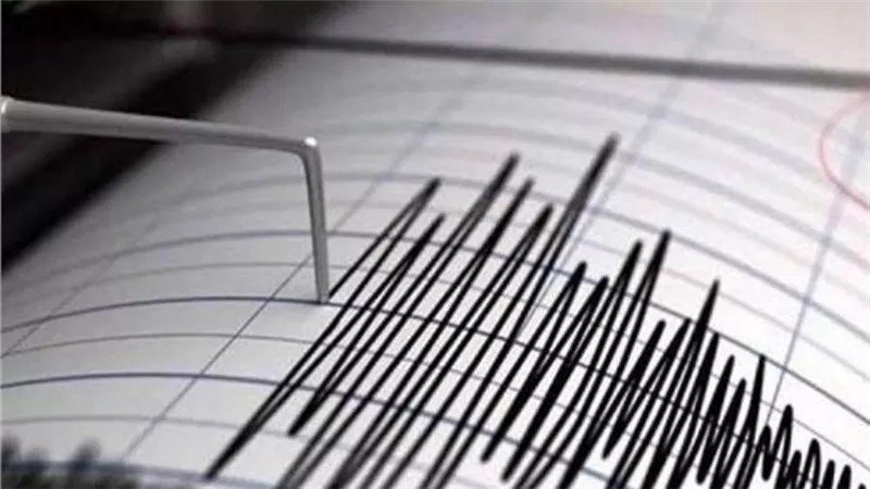 زلزال بقوة 4.1 درجة يضرب كوريا الجنوبية 