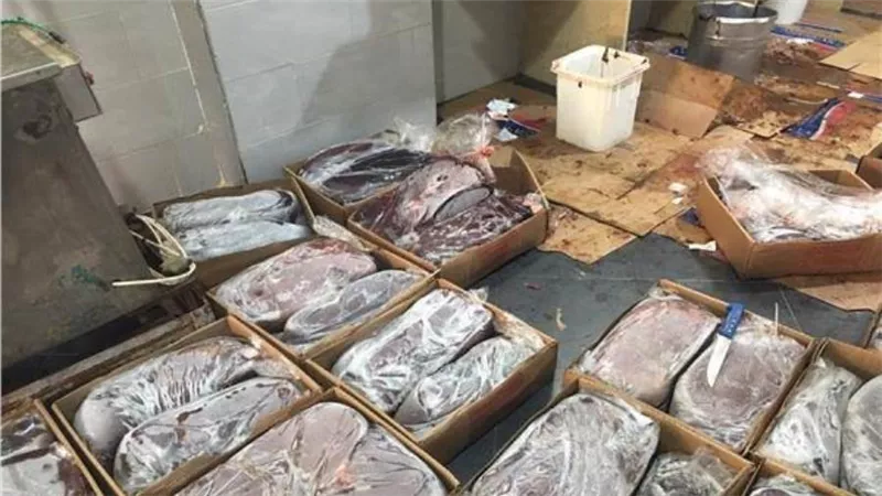 ضبط مخزن مواد غذائية بدون ترخيص في المرج