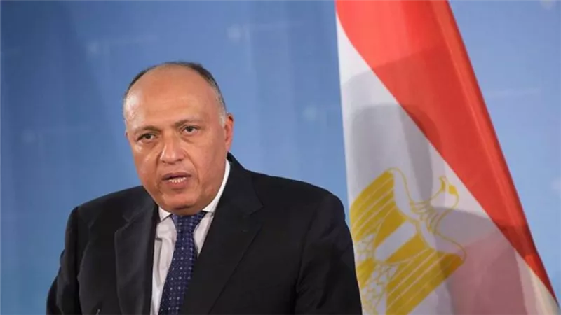 مصر تدين محاولة اغتيال عمران خان.. وتؤكد دعم القاهرة لـ إسلام أباد