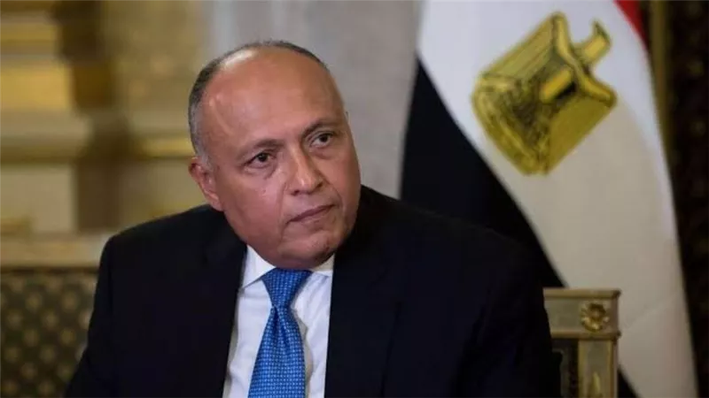 مصر تعرب عن خالص تعازيها لتنزانيا في حادث تحطم طائرة في بحيرة فيكتوريا