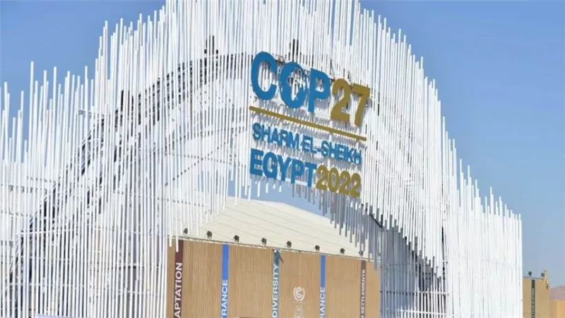 رئيس قطاع الثقافة بالإيسيسكو: مصر من أوائل الدول التي حافظت على التراث 