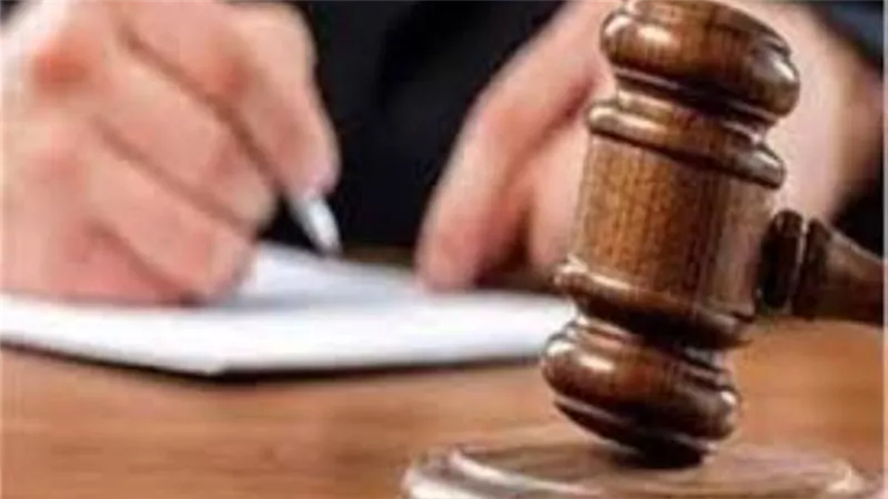 تأجيل قضية مقتل ربة على يد نجلها بالقليوبية لجلسة 8 نوفمبر