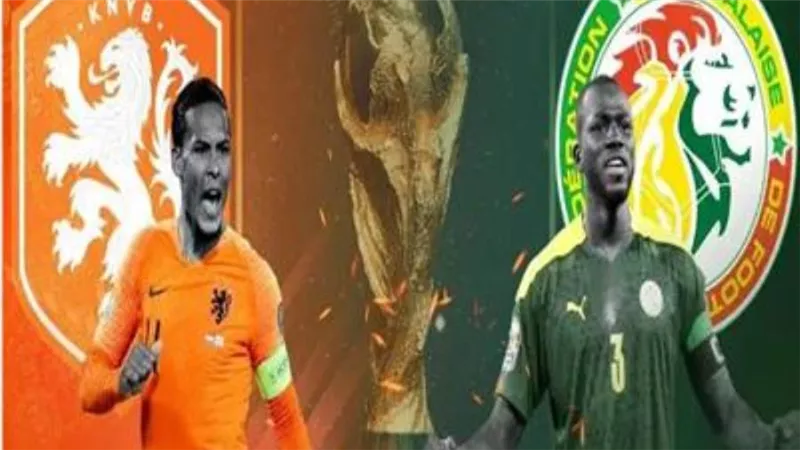 موعد والتشكيل المتوقع لمباراة السنغال وهولندا في مونديال قطر
