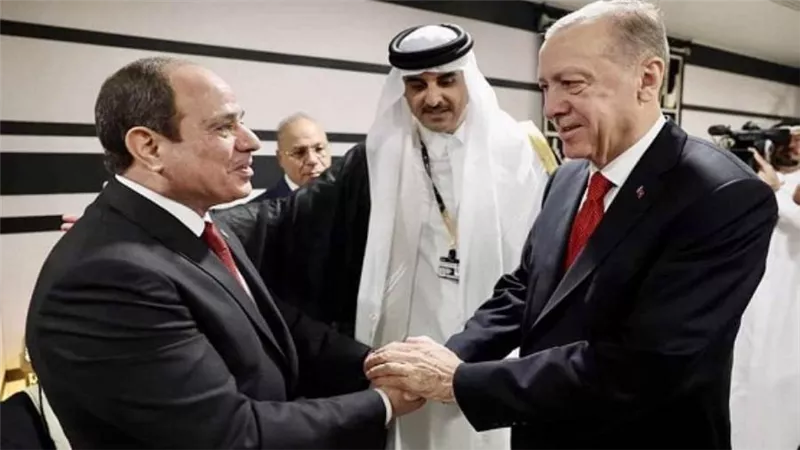 السيسي وأردوغان يؤكدان على عمق الروابط التاريخية بين مصر وتركيا