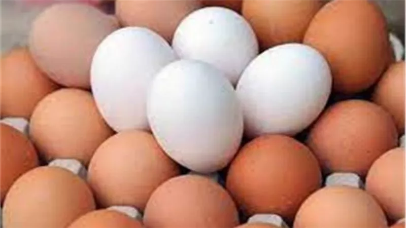 انخفاض أسعار البيض اليوم.. والكرتونة بـ62.5 جنيه في المزرعة 