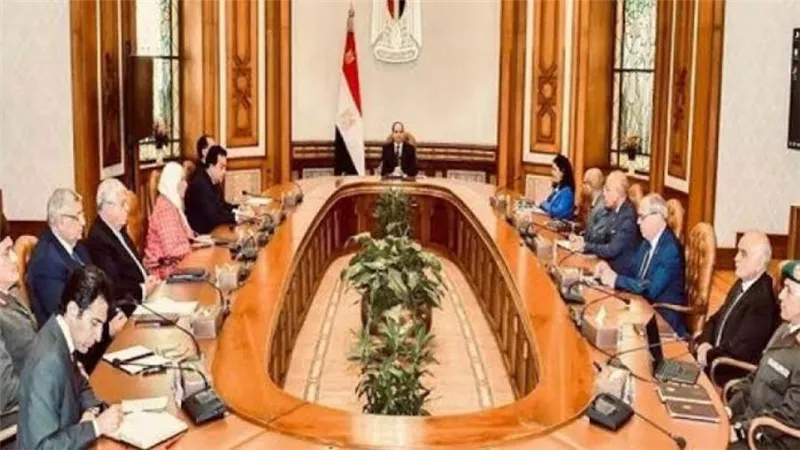 السيسي يستقبل رئيس وحدة الوسائل التكنولوجية المساعدة والأجهزة الطبية بالصحة العالمية