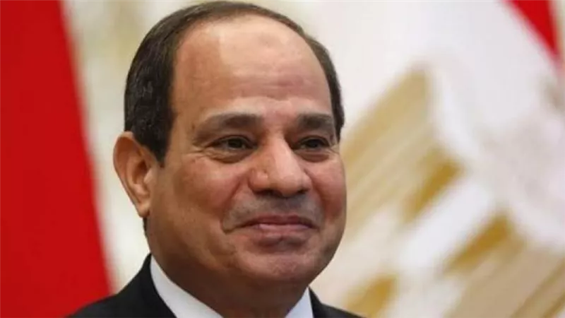 السيسي يستقبل رئيس وحدة الوسائل التكنولوجية المساعدة والأجهزة الطبية بالصحة العالمية