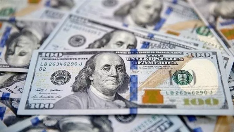 خبيرة مصرفية توضح أسباب ارتفاع سعر الدولار أمام الجنيه