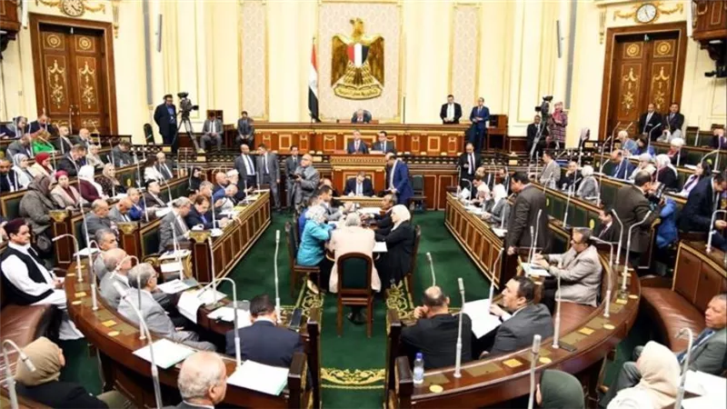 النواب: المنصورة الجديدة أحد ثمار خطة التنمية الشاملة للجمهورية الجديدة 