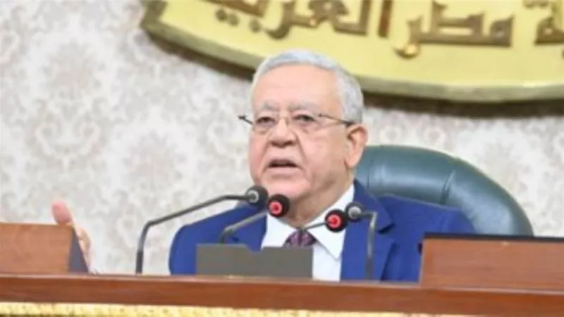 مجلس النواب يرفع الجلسة العامة ويواجه وزير الصناعة بـ88 أداة رقابية غدا