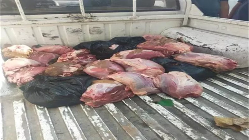 الزراعة: ضبط 40 طن لحوم وأسماك غير صالحة للاستهلاك خلال شهر 