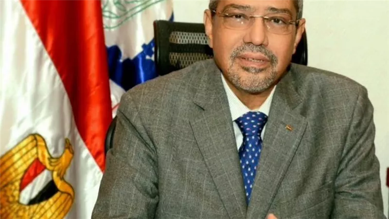إبراهيم العربي: انعقاد ملتقى رجال الأعمال المصري الياباني يستهدف زيادة فرص الاستثمار الأجنبي