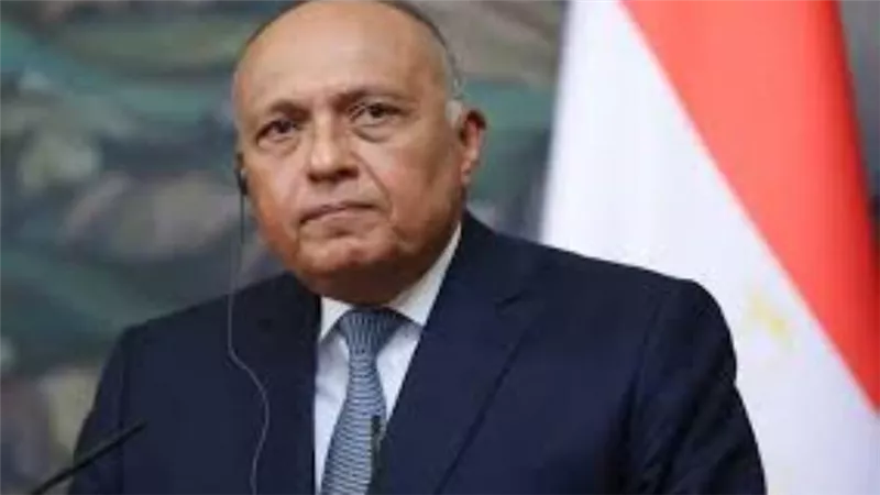 وزير الخارجية يؤكد ثوابت الموقف المصري حيال الأزمة في سوريا