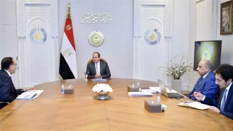 تأهيل القدرات.. السيسي يوجه بمواصلة جهود تطوير شركات قطاع الأعمال العام