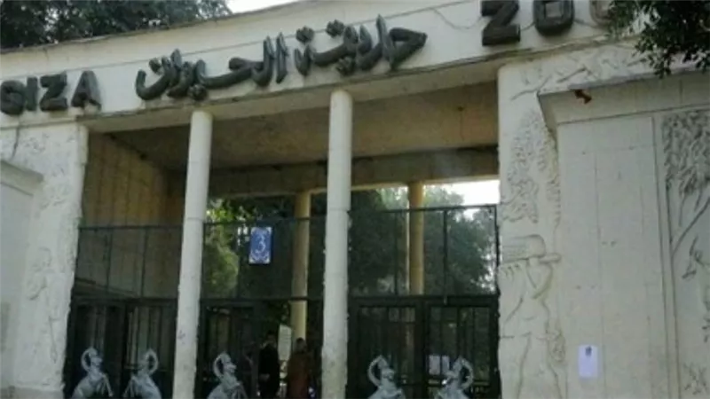 الحكومة توافق على بدء إجراءات تطوير حديقتي الحيوان والأورمان بالجيزة