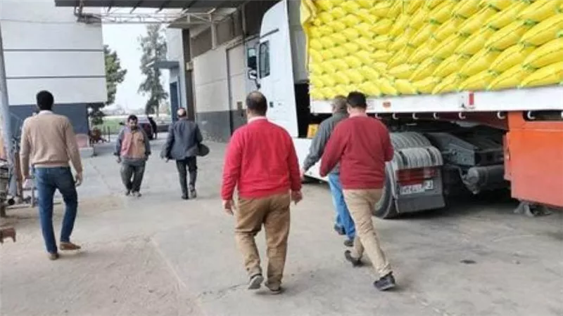 الزراعة والتموين تكثفان حملات التفتيش على مصانع الأعلاف بالقليوبية 
