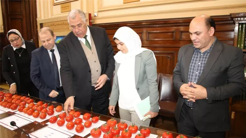 وزير الزراعة يتابع نتائج تقييم بعض الهجن وأصناف الطماطم في إطار البرنامج الوطنى لإنتاج التقاوي 