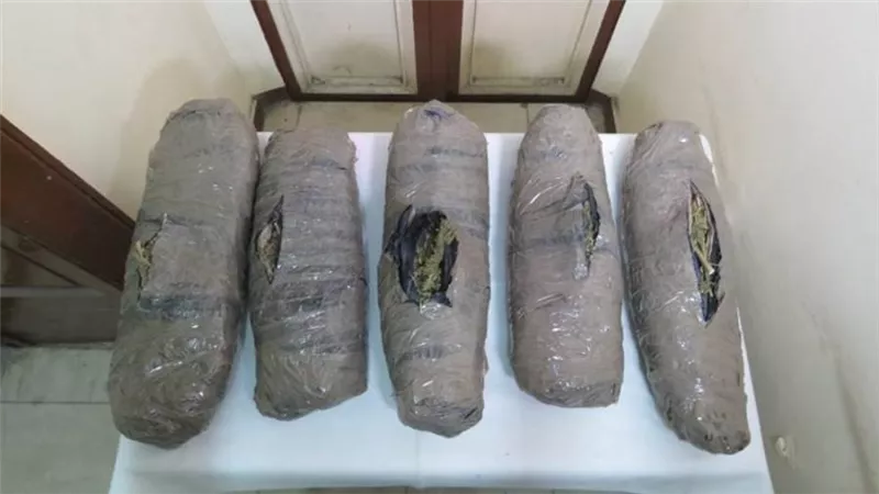 سقوط اثنين من العناصر الإجرامية بحوزتهما كمية من البانجو بالأقصر 