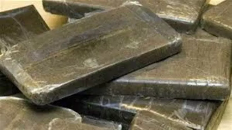 حبس 3 متهمين بحوزتهم 100 طربة حشيش في طنطا