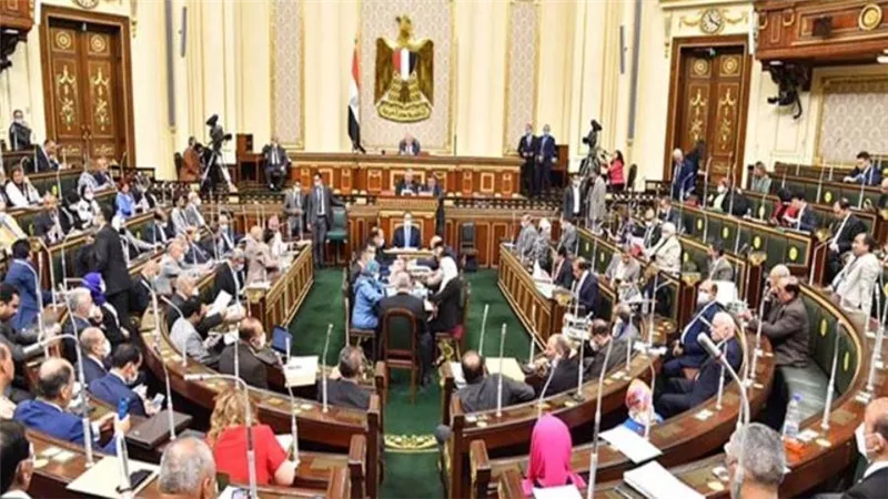 نائب لـ علي المصيلحي: قطار الأسعار دهس الغلابة.. والتموين وزارة الأزمات