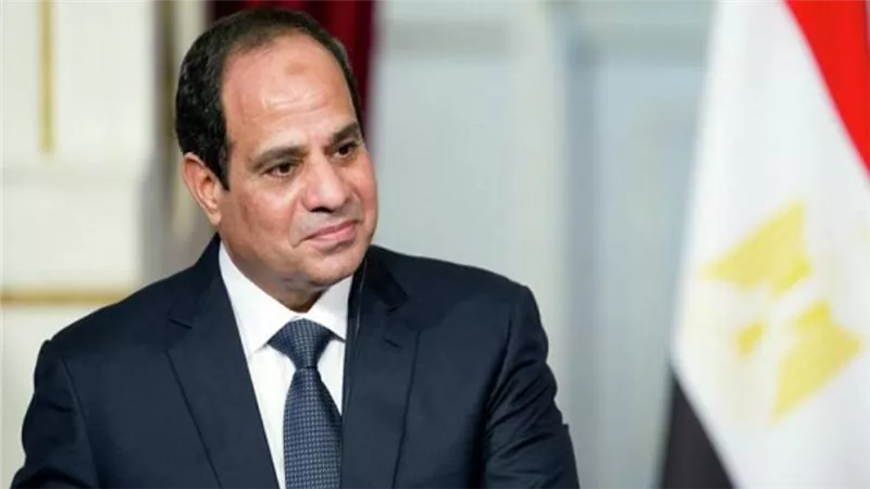 الرئيس السيسي يؤكد للشركات الهندية حرص مصر على تطوير التعاون الاقتصادي والتجاري