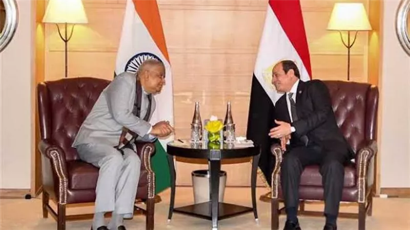 السيسي يستقبل رئيس مجلس إدارة شركة رينيو باور