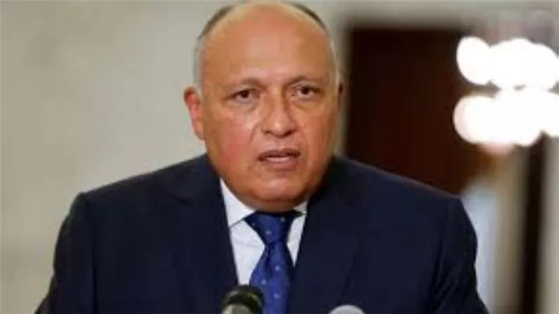 وزير الخارجية:القطاع الخاص يلعب دورا مهما في دفع عجلة التعاون بين مصر وأفريقيا