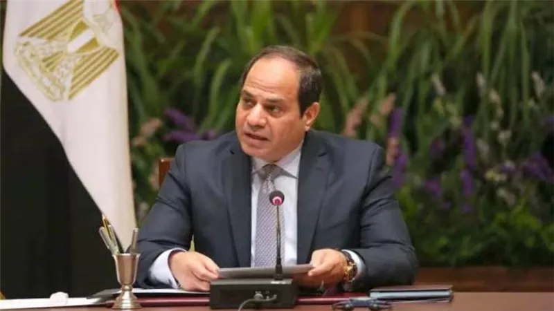 السيسي يتسلم رئاسة مصر لـ اللجنة التوجيهية للنيباد