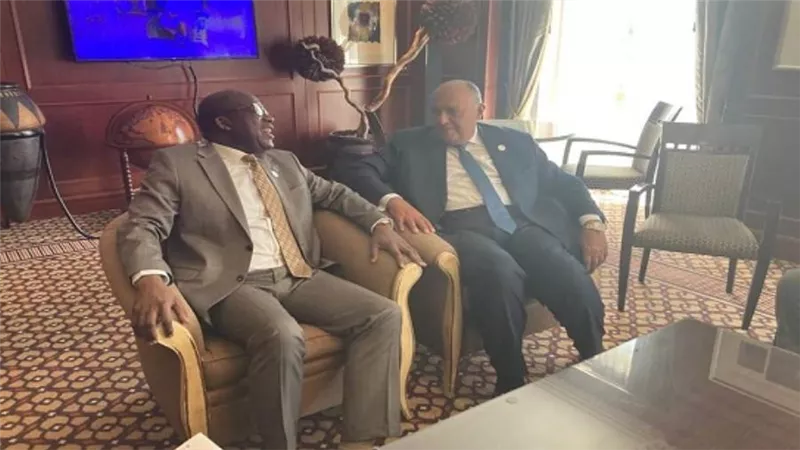 وزير الخارجية يلتقي وزير خارجية جمهورية الكونغو الديمقراطية على هامش أعمال المجلس التنفيذي للاتحاد الإفريقي