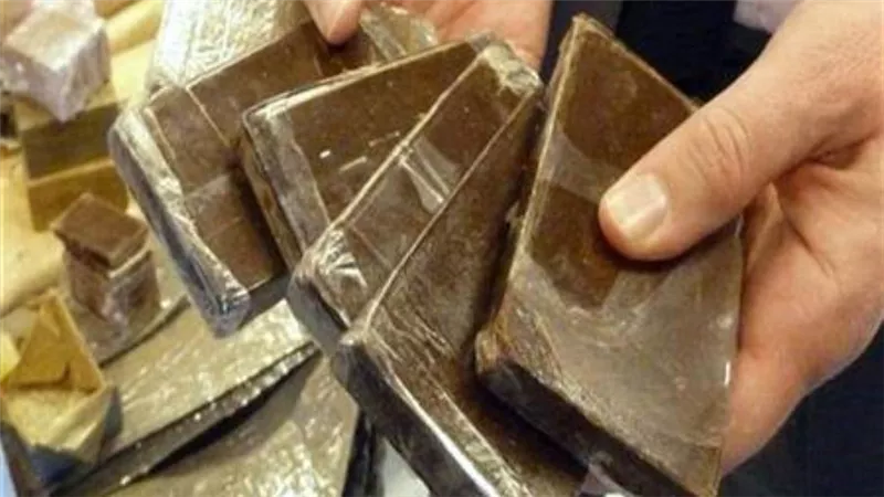 ضبط 1.5 كيلو حشيش بحوزة حداد مسلح في كفر الشيخ