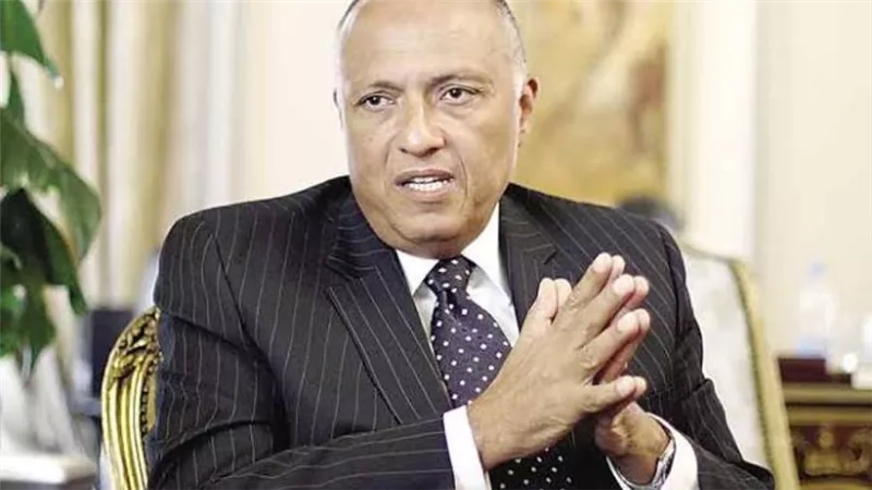 شكري يبحث هاتفيا سبل تعزيز التعاون والدعم المتبادل مع وزير خارجية فنزويلا