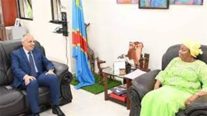 وزير الري: إنشاء 12 محطة مياه شرب جوفية بالطاقة الشمسية في الكونغو