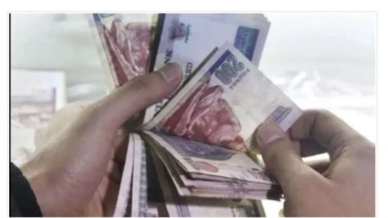 تغريم شخص 5 آلاف جنيه بتهمة التشهير وسب سيدة في حدائق الاهرام
