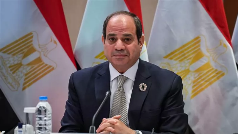 بعد توجيهات السيسي.. الزراعة تكشف خطة الدولة للتوسع في المحاصيل الزيتية