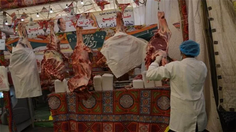 وزيرا التنمية المحلية والتعليم يتفقدان 