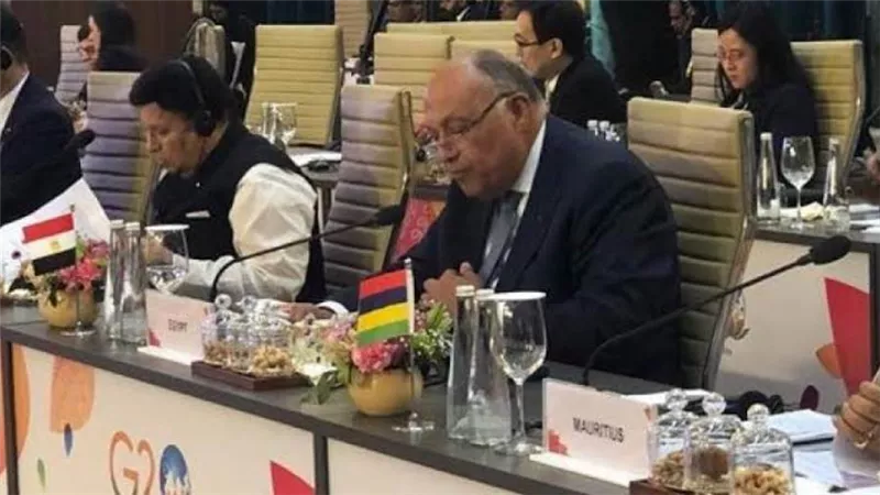 شكري يؤكد أهمية بلورة اتفاقية دولية ملزمة تمنع استخدام التكنولوجيا بغرض ارتكاب الجرائم