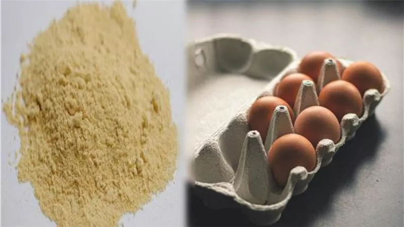 الإحصاء: 379.6 ألف دولار واردات مصر من البيض البودرة 