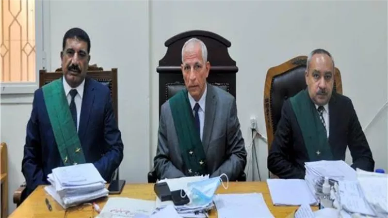 المؤبد لنجل وزير البترول الأسبق لتلقيه رشوة 359 ألف جنيه