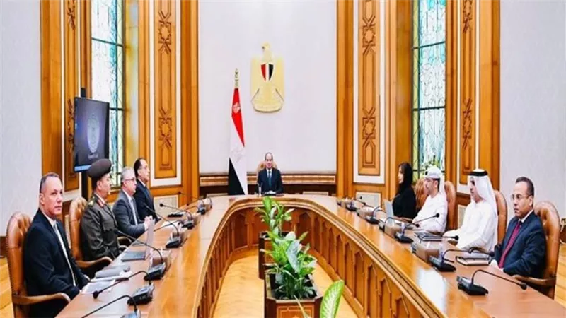 الرئيس السيسي يبحث التعاون مع مجموعة موانئ أبوظبي