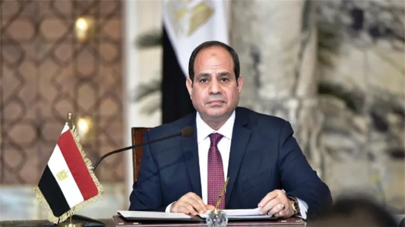 السيسي يوجه الحكومة بزيادة الإعفاء الضريبي على الدخل إلى 36 ألف جنيه سنوياً